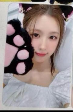 IDLE We are muvve サイン会 特典 ネコミミ トレカ ５枚セット IDLE ミンニ We are ktown4u 特典 トレカ 2枚セット - メルカリ