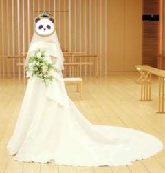 クリーニング済み　YNSwedding ウェディングドレス ✨クリーニング済✨YNS wedding ウェディングドレス パニエセット