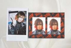 Royz チェキ 73枚セット 広大 昴 Royz アー写 智也 ロイズ カード チェキセットまとめ