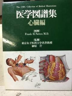 医学図譜集/筋骨格編 Ⅰ・Ⅱ・Ⅲ ３巻セット/箱★書込無し 2025年最新】医学図譜集の人気アイテム - メルカリ