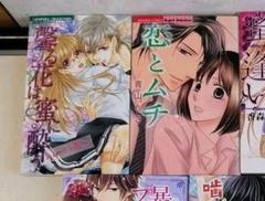 恋とムチの中古 未使用品を探そう メルカリ