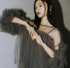 大人気⭐︎ANDRESDアンドレスド　ニアナ　ベージュ　チュールフリルブラウス ニアナ niana チュールフリルブラウス トップス ボリューム袖