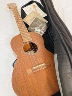 Martin & Co. ミニアコースティックギター (ソフトケース付き)