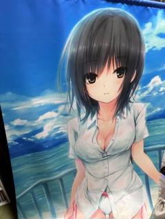 うりぼうざっか店 WスエードB0タペストリー 珈琲貴族 メイド