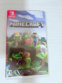 Minecraft Nintendo Switch