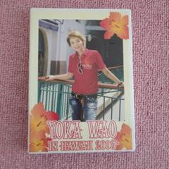 YOKA WAO IN HAWAII 2006
