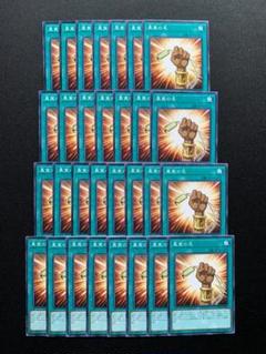 遊戯王 真実の名 ノーマル30枚