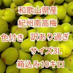 2025年最新】南高梅10キロの人気アイテム - メルカリ