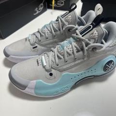 リーニン　WAY OF WADE 10 画素　US10 27.5 中古品 2025年最新】li-ning way of wade 10の人気アイテム - メルカリ