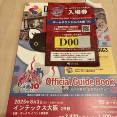 ホームタウンドルパ大阪10 ガイドブック　Dグループ