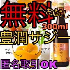 豊潤サジー お試し300ml 匿名取引OK