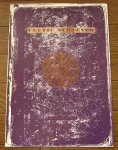 CELTIC SURVEYOR Jamie Reid ジェイミー・リード m36152217994_1.jpg?1731592636