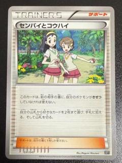 センパイとコウハイ　XY　031/041　TRAINER'S　サポート　ポケモンのサムネイル