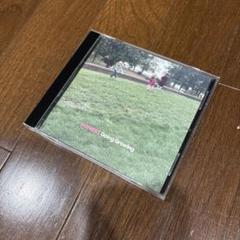 honest 「going growing」