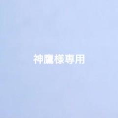 神鷹 1/3ウィングチェア2.5人用 神鷹様専用 1/3ウィングチェア2.5人用 - メルカリ