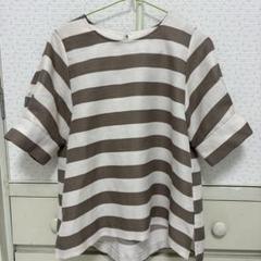 groveストライプ 半袖 トップス バックボタン