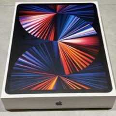 【美品】iPad Pro 12.9 第5世代 Cellular スペースグレイ