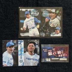 北海道日本ハムファイターズ　ステッカー　まとめ売り　清宮幸太郎