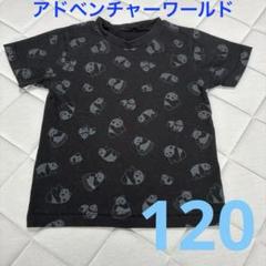 アドベンチャーワールド　パンダ　Tシャツ　Mサイズ アドベンチャーワールド公式アパレル・衣類オンラインショップ