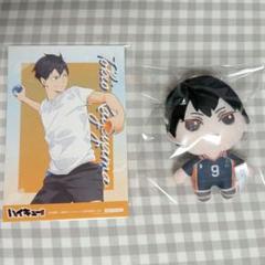 ハイキュー　ラストラッキー　セガ　くじ　ぬいぐるみ　黒尾鉄朗 孤爪研磨 影山飛雄 オリジナルデザインの日向翔陽や狐爪研磨！セガ ラッキーくじ