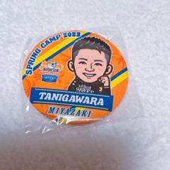 若鷹ガチャ 缶バッジ まとめ売り 東浜巨 福岡ソフトバンクホークス 東浜巨投手 缶バッジまとめ売り
