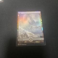 mtg 荒地 限定プロモ② - メルカリ