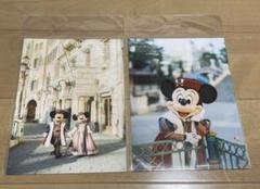 実写 ディズニー イマジニングザマジック 写真 ミッキー ミニー ミラコスタ ディズニー イマジニングザマジック 写真 ミッキー ミニー