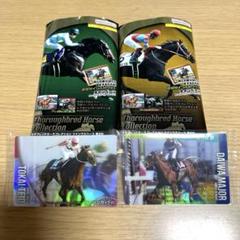 サラブレッドホースコレクション　レア　トウカイテイオー・ダイワメジャー他ノーマル