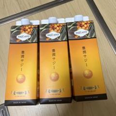 フィネス 豊潤サジー1000ml✕3本セット - メルカリ