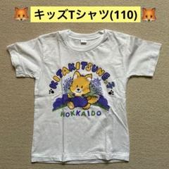 ☆伊藤正一☆「赤レンガ北海道庁舎」F4号サイズ未使用！