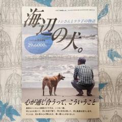 田舎暮らしの本 2024年 8月号 付録　海辺の犬　ララ子　トシさん