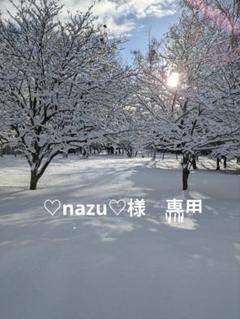 ♡nazu♡様　専用　バードアスレチック ♡nazu♡様 専用 バードアスレチック - メルカリ