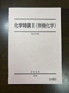 駿台2024 化学特講Ⅱ 未使用＋景安T講義プリ＋伊達Tプリ付 駿台2024 化学特講Ⅱ 未使用＋景安T講義プリ＋伊達Tプリ付