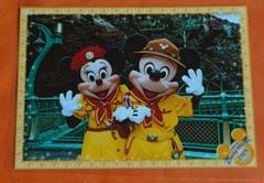 2025年最新】2005 ディズニーミッキー ミニーの人気アイテム
