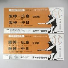 特別ご招待券(2枚)