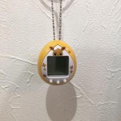 イーブイっち たまごっち ポケモン イーブイ