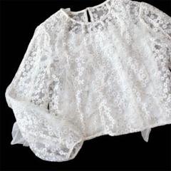 【名入れ無料】 美品】アプワイザーリッシェ チュール刺繍ブラウス レース トップス