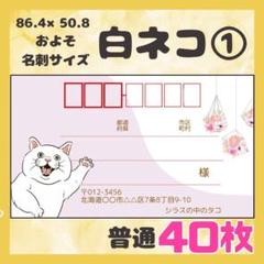 【白ネコ①】宛名シール　差出人シール　普通サイズ　40枚　シンプル　動物　ネコ