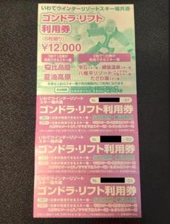 シマウマ　たざわ湖スキー場　リフト1日券　半額割引券6枚セット リフト券 | たざわ湖スキー場