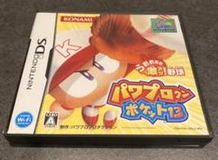 【動作確認済み】NintendoDSソフト パワプロクンポケット13