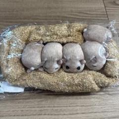 ハムスターティッシュカバー　新品