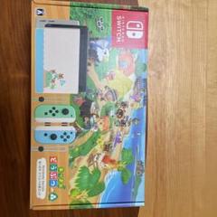 【最終価格】Nintendo Switchあつまれどうぶつの森セット