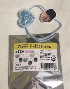 レア❗【能見篤史】阪神タイガース アクリルキーホルダー セット【値下げ不可】 2025年最新】阪神タイガース非売品の人気アイテム - メルカリ