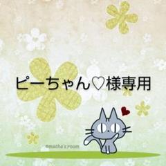 ☆*☆様 ルミちゃん まあるいバッグ＆ポーチ 2点セット♡コヤンイサムチョン ハ コヤンイサムチョン ルミちゃんポーチバッグ4点セット（ナスカン