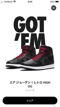 NIKE AIR JORDAN 1 エアジョーダン1