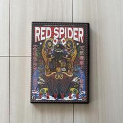 RED SPIDER カエルスタジオ　CD DVD 31枚セット　廃盤　レア 2025年最新】red spider dvdの人気アイテム - メルカリ