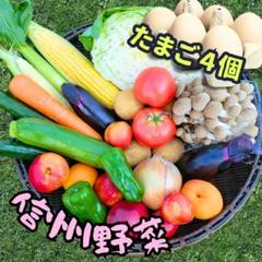 rain様野菜セット 果物追加 卵 BF058 【6回定期便】旬の野菜・フルーツ (12〜14品目)・卵 (6個