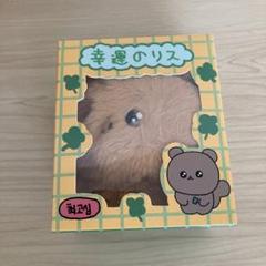 チェゴシム　箱入りマスコット　リス