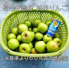 信州安曇野　摘果りんご（加工用）約20キロ　減農薬【生食不可】サイズミックス⑧のサムネイル