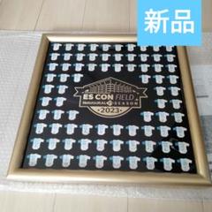 日ハム エスコンフィールド プレイヤーズ ピンズコレクション 2023 日ハム エスコンフィールド プレイヤーズ ピンズコレクション